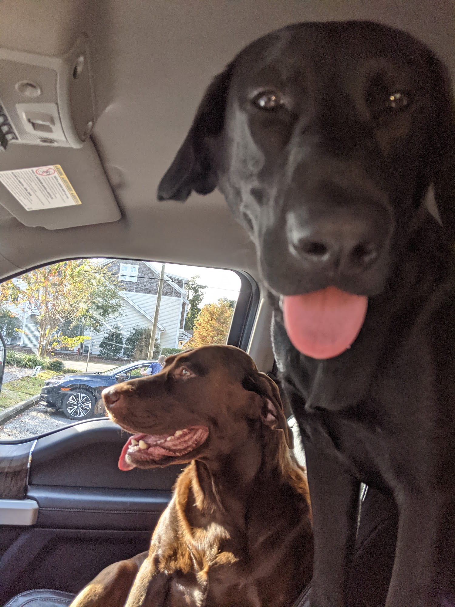 Port City Animal Hospital Wilmington