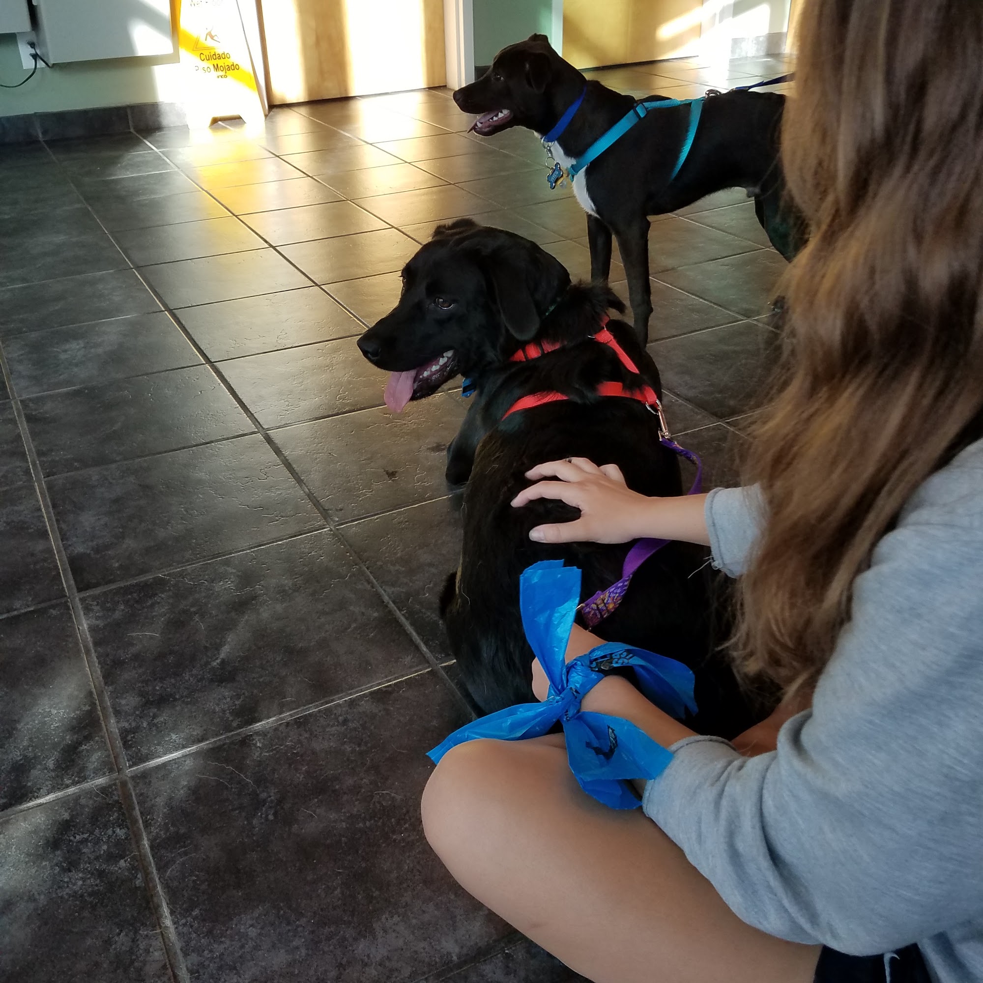 Porters Neck Veterinary Hospital Wilmington