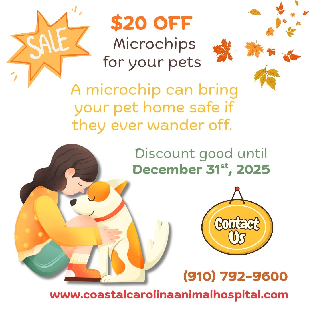 Coastal Carolina Animal Hospital Wilmington