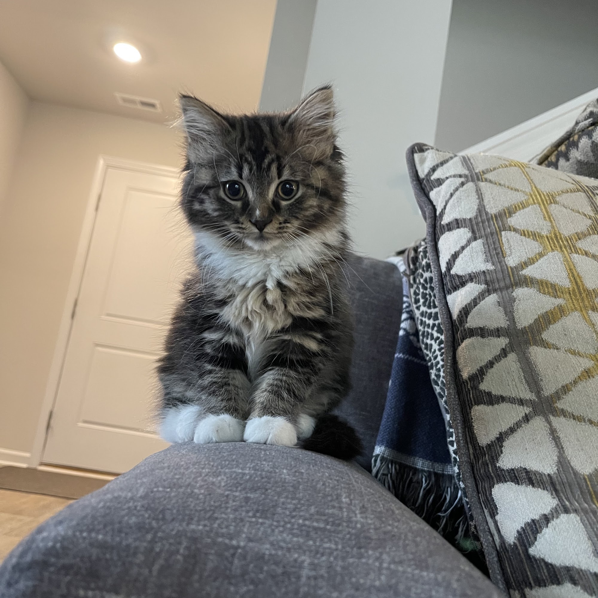 Adopt An Angel