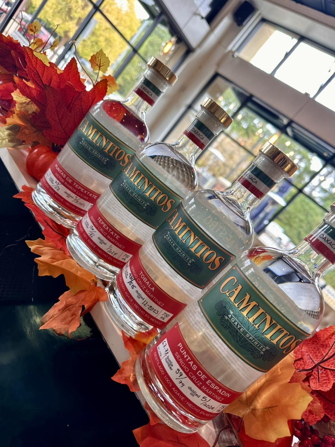 LA RANCHERITA GRILL & TEQUILA BAR Wilson