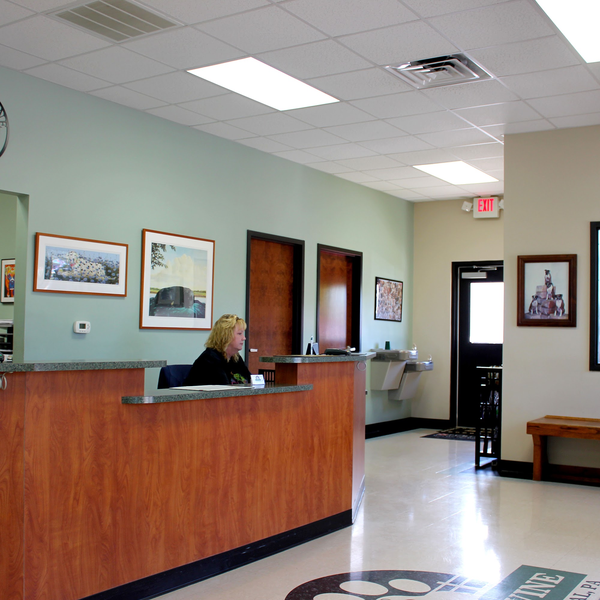 Brandywine Veterinary Hospital Wilson