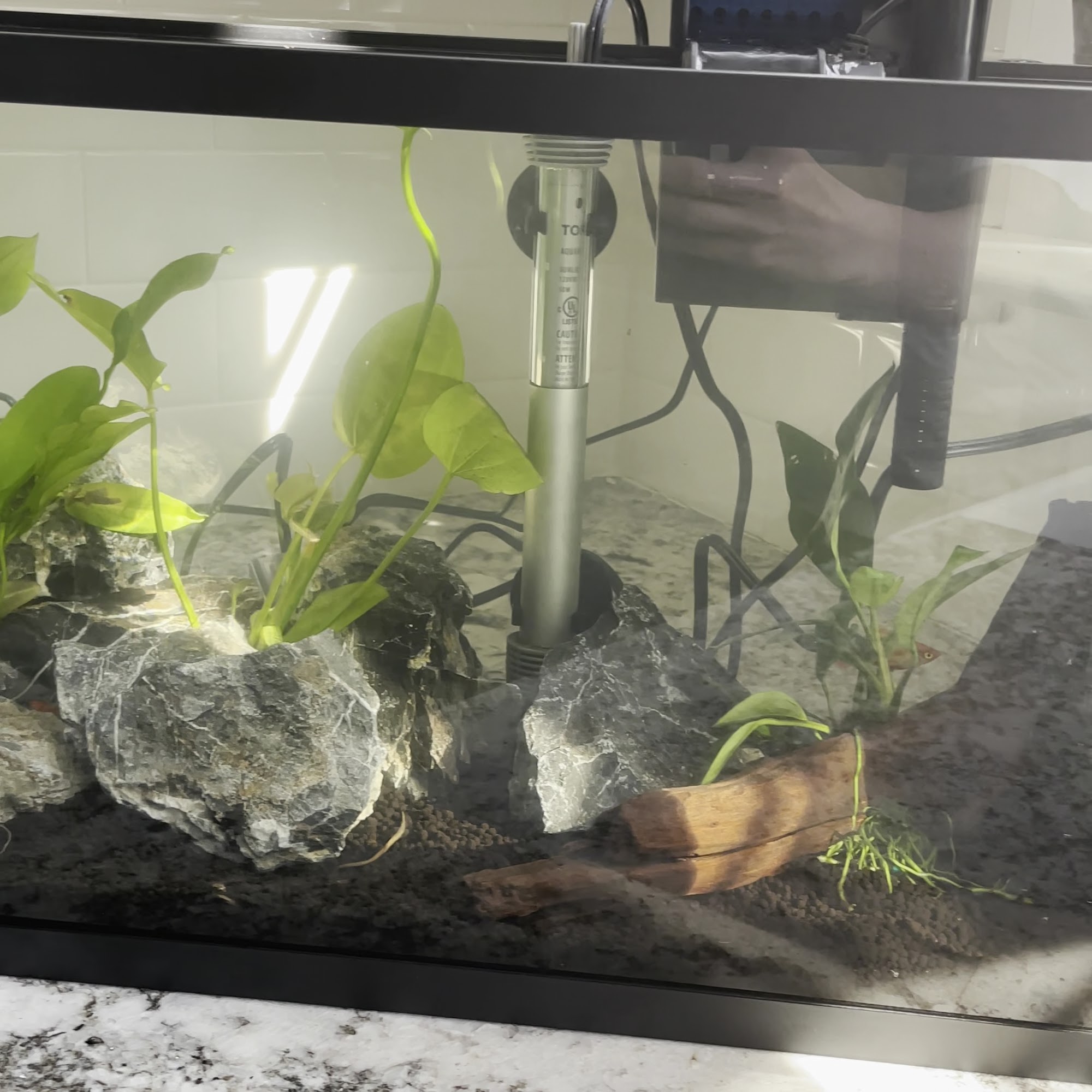 Pet Supermarket Winston-Salem