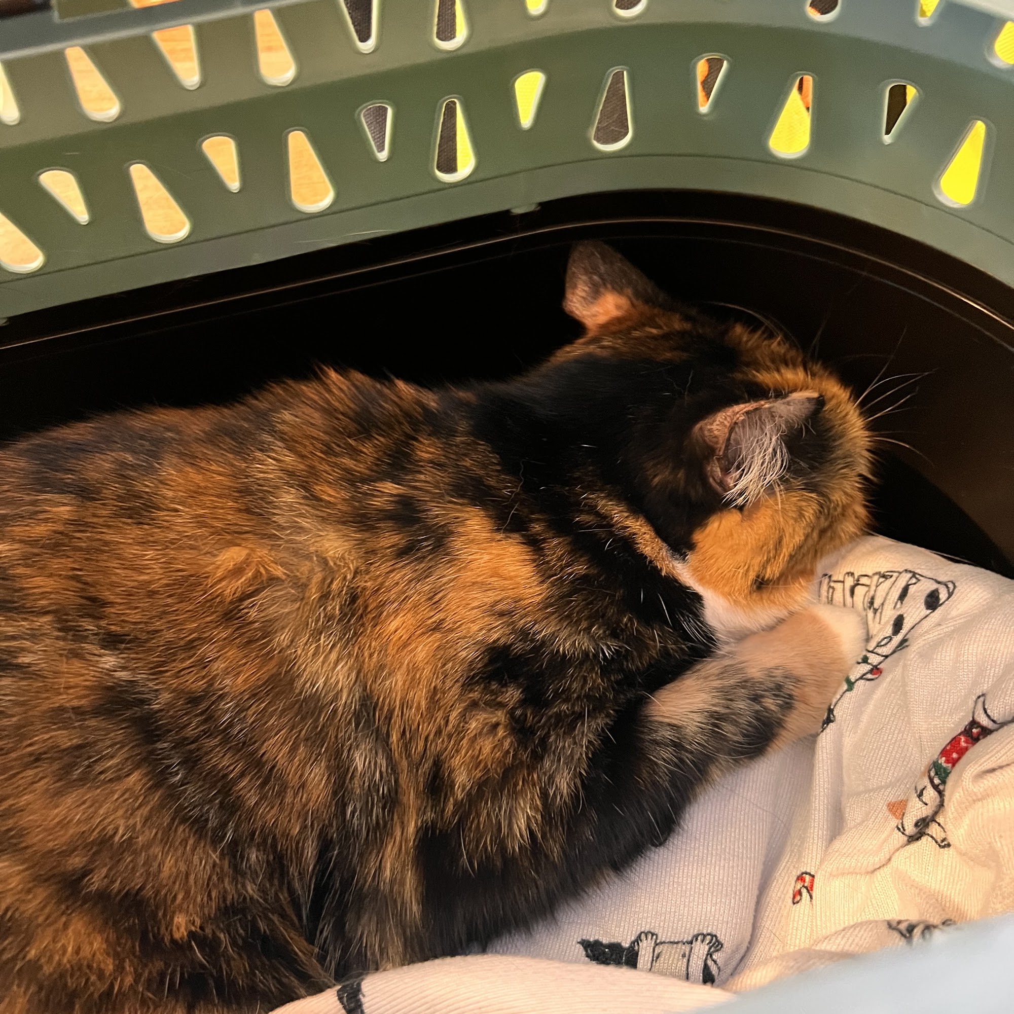 Ard-Vista Animal Hospital Winston-Salem