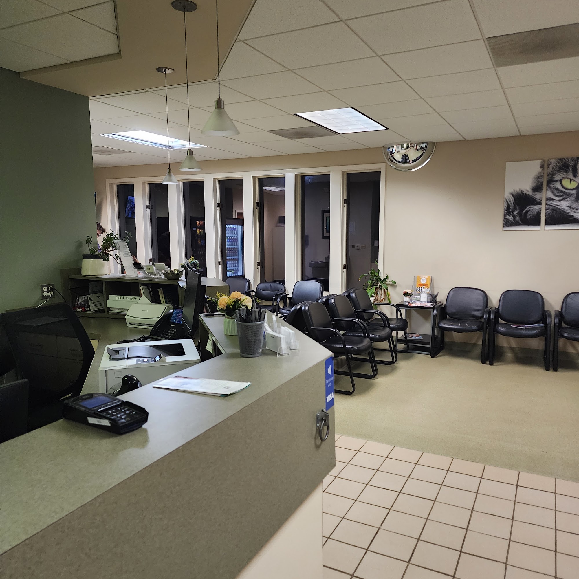 Animal Emergency & Trauma Center: Sigle Kelly