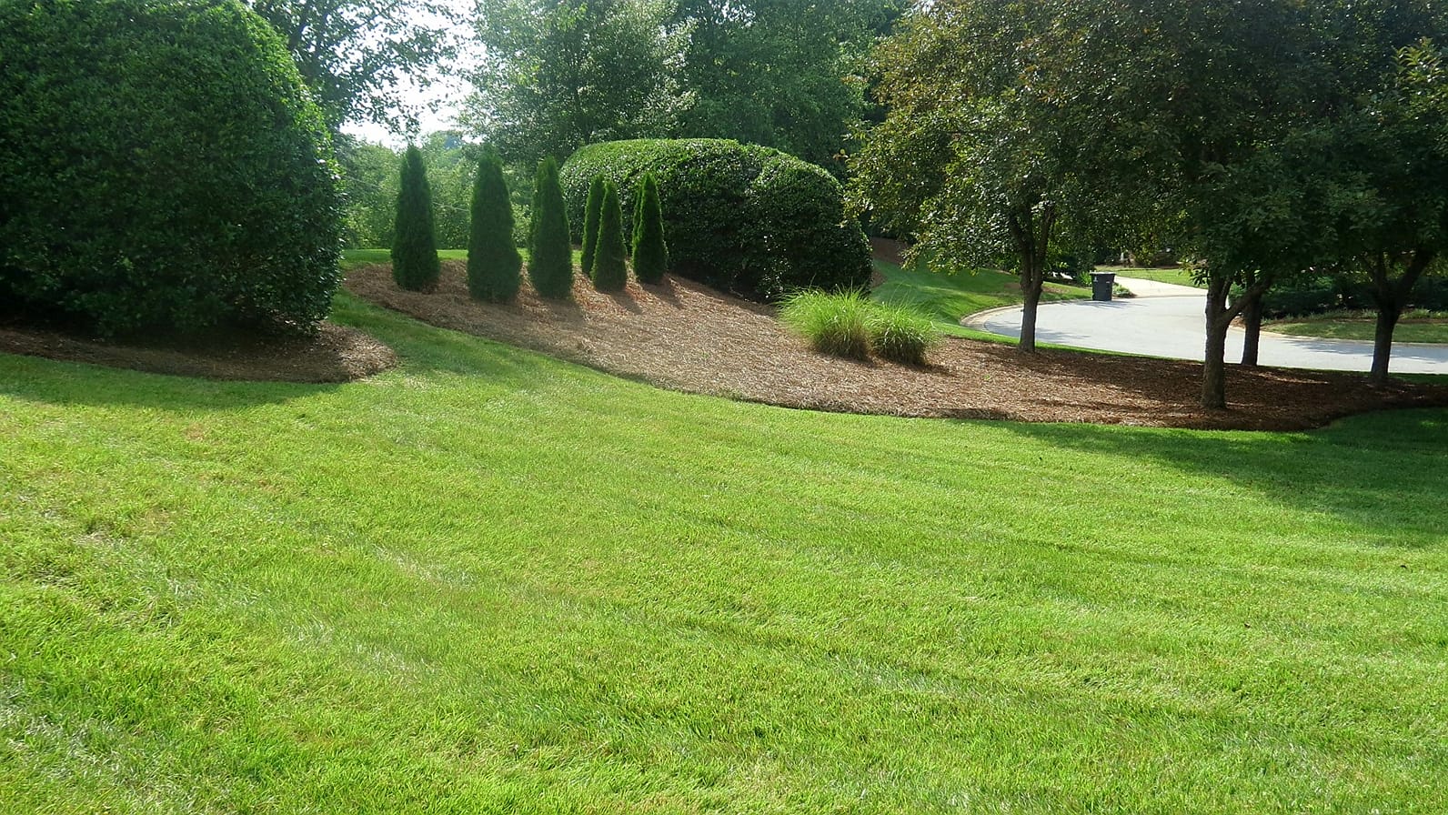 DM Landscaping