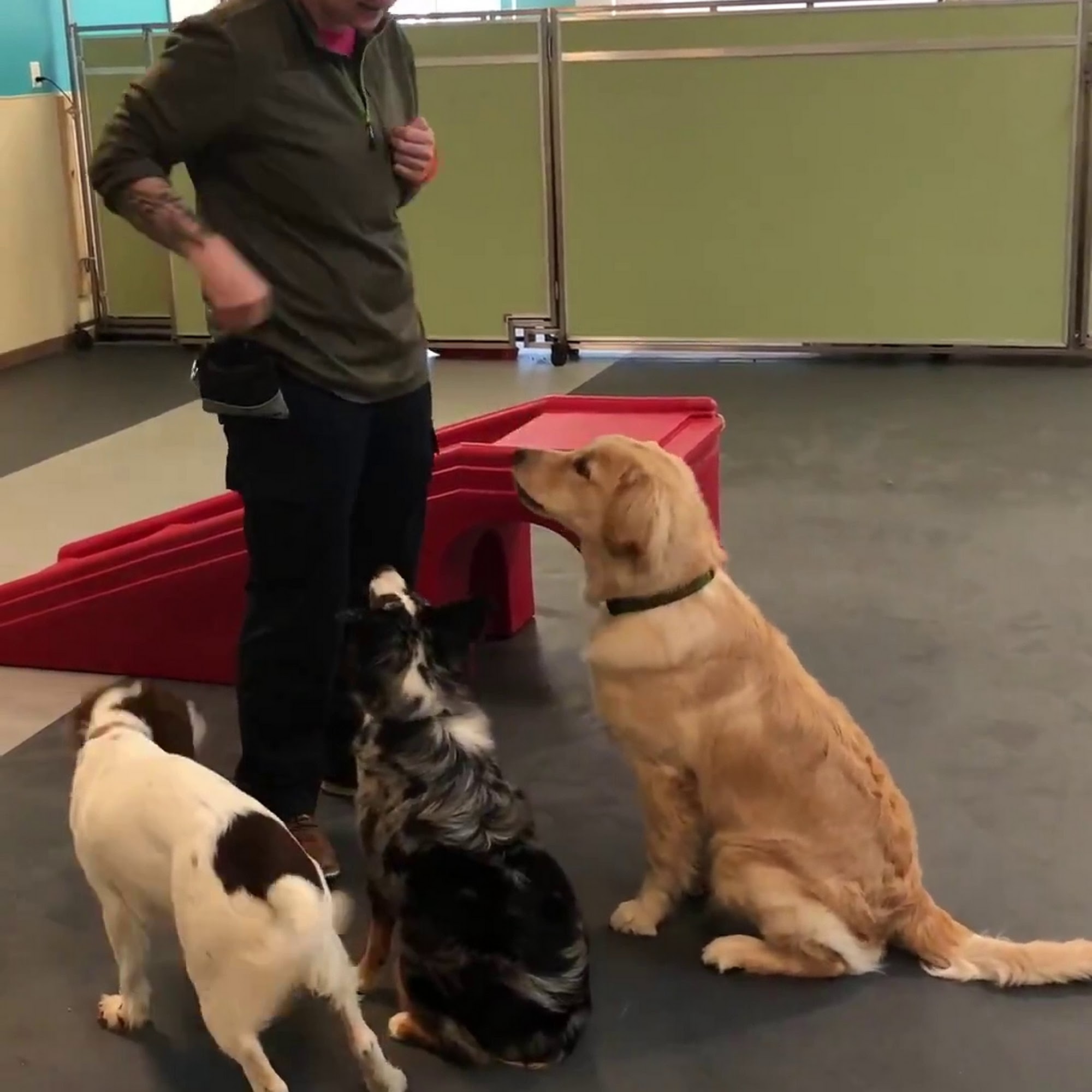 Ruff Housing Witt Street Winston-Salem