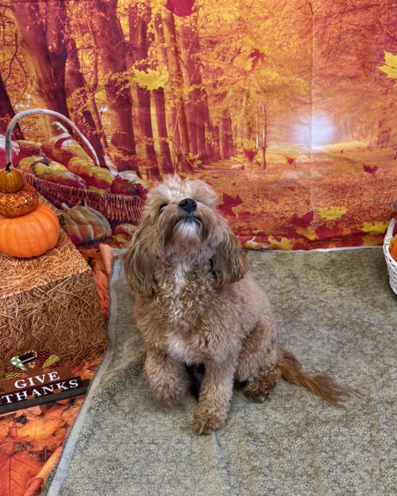 Ruff Housing Country Club Winston-Salem