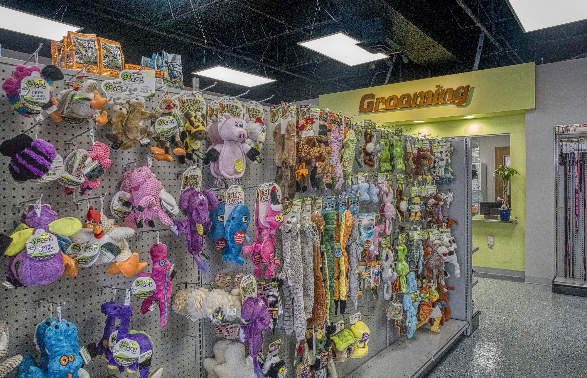 Best 4K9 - Winston Salem Winston-Salem