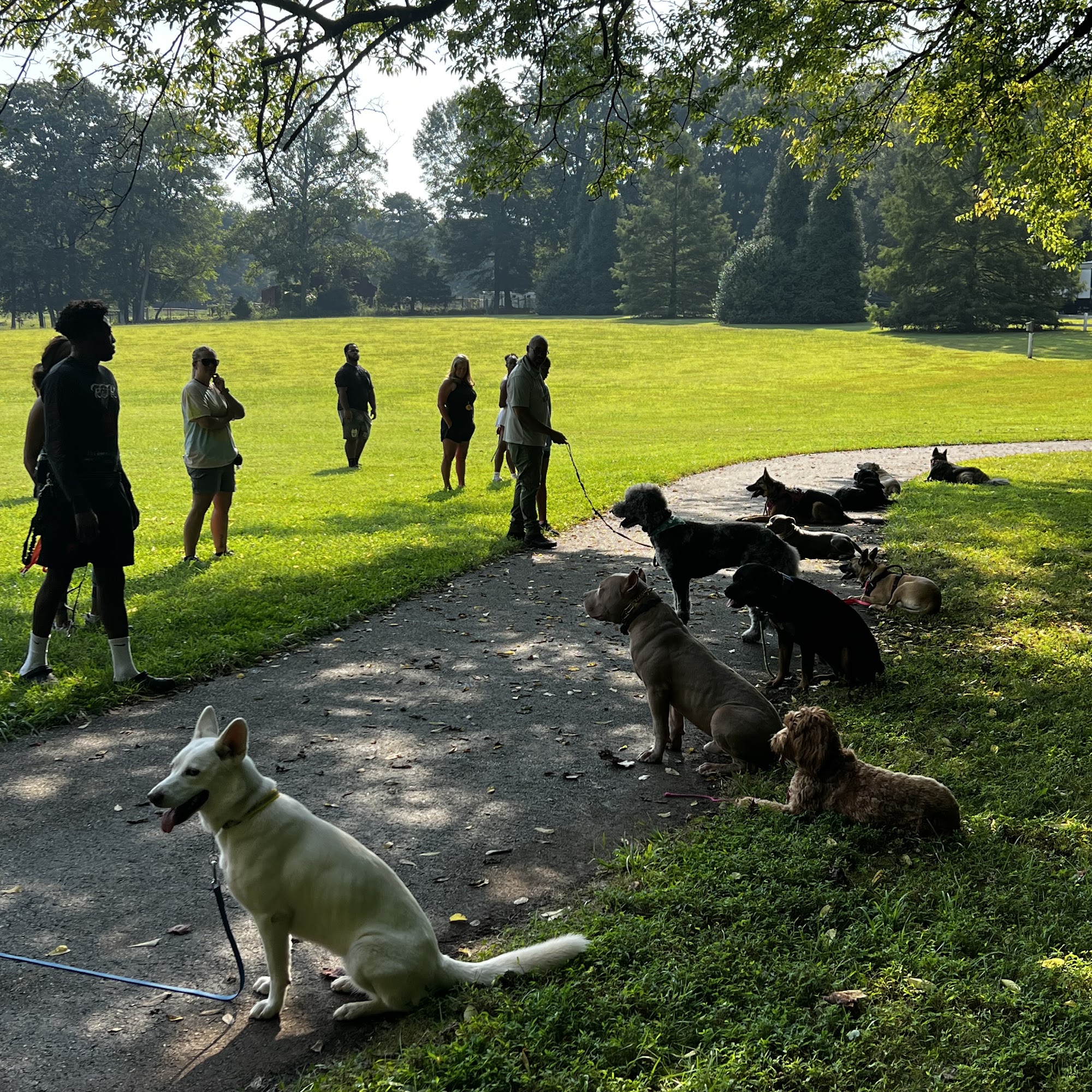 Real Deal Kennels & K9 Training Winston-Salem