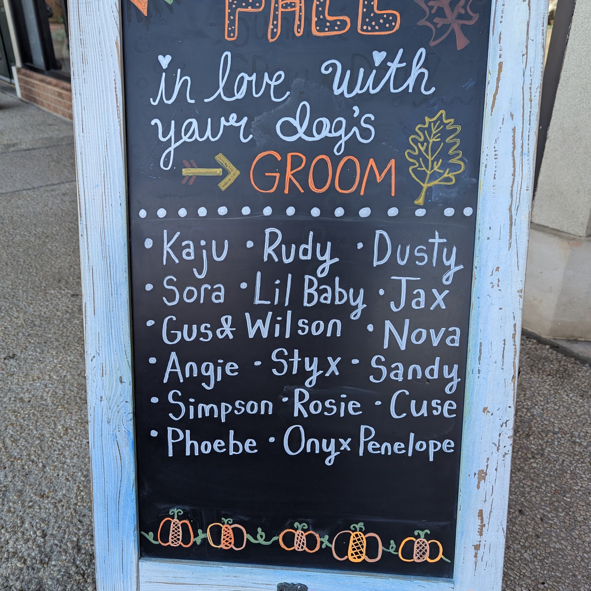 Woof Gang Bakery & Grooming Winston - Salem 205 S Stratford Rd J, Winston-Salem North Carolina 27103