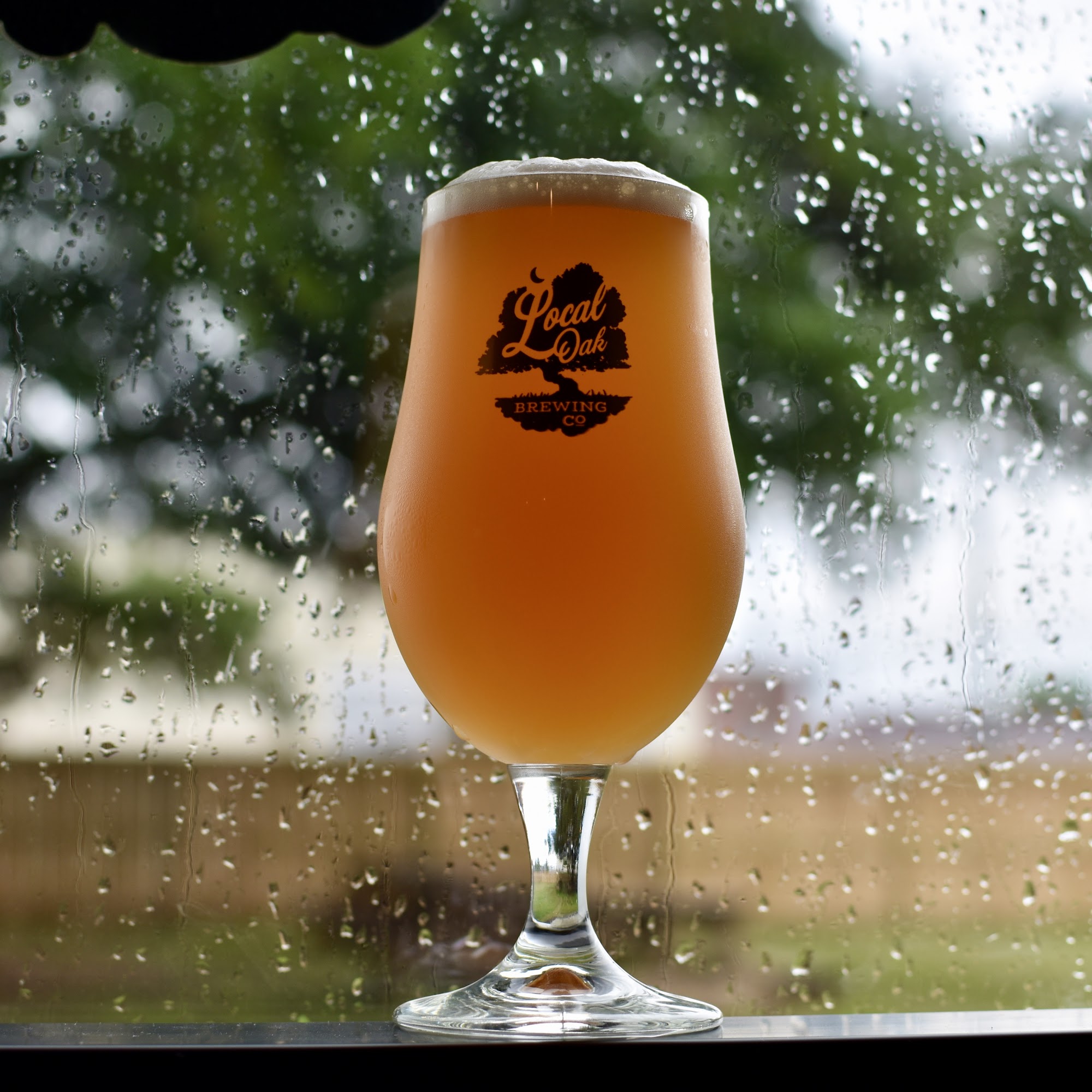 Local Oak Brewing Co. Winterville