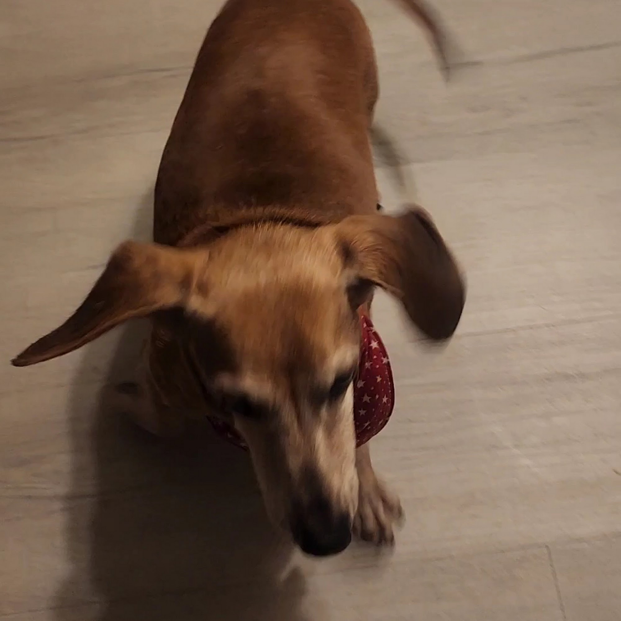 Mis Avie's Youngsville