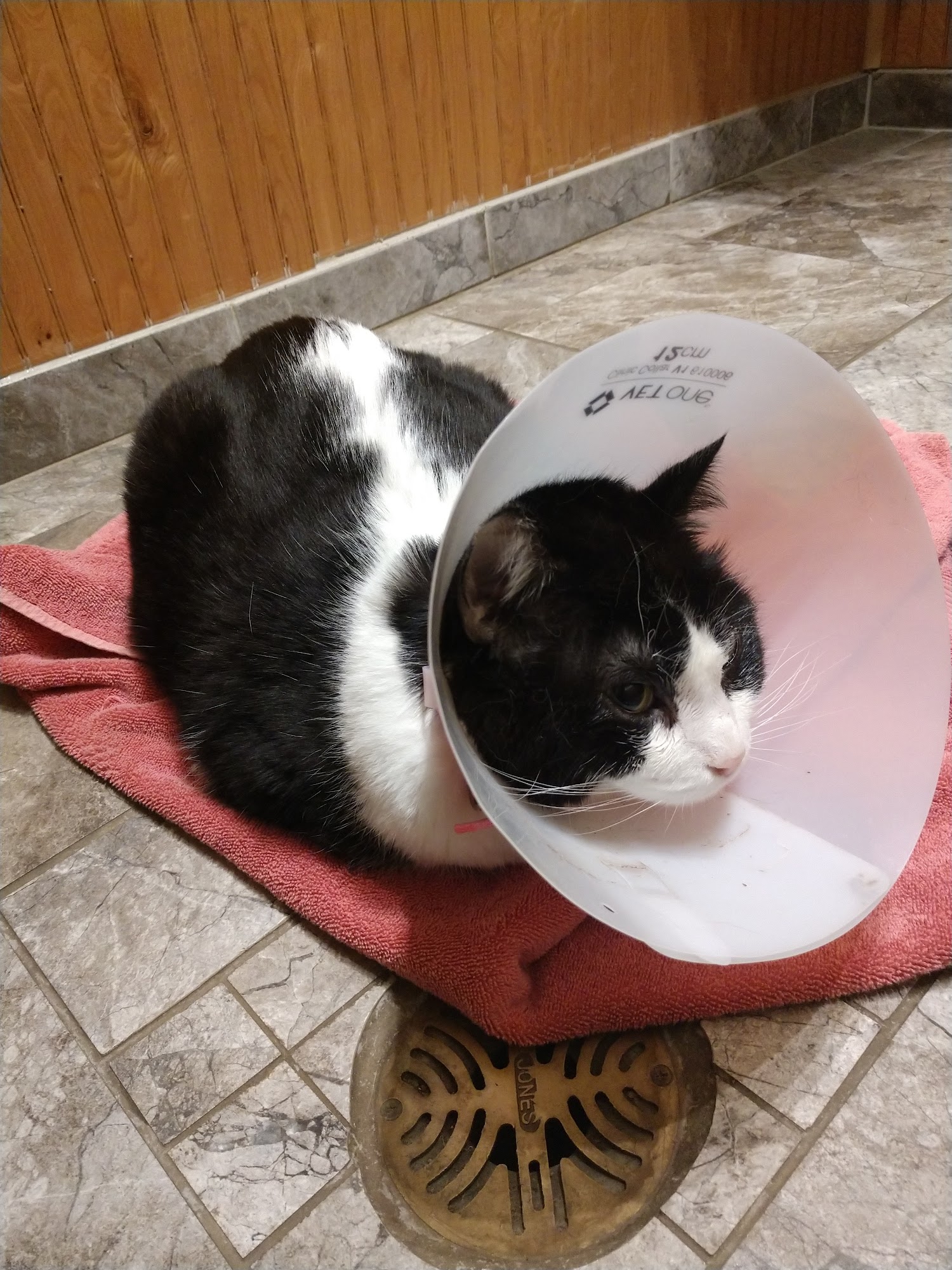 Lewis & Clark Animal Hospital Bismarck