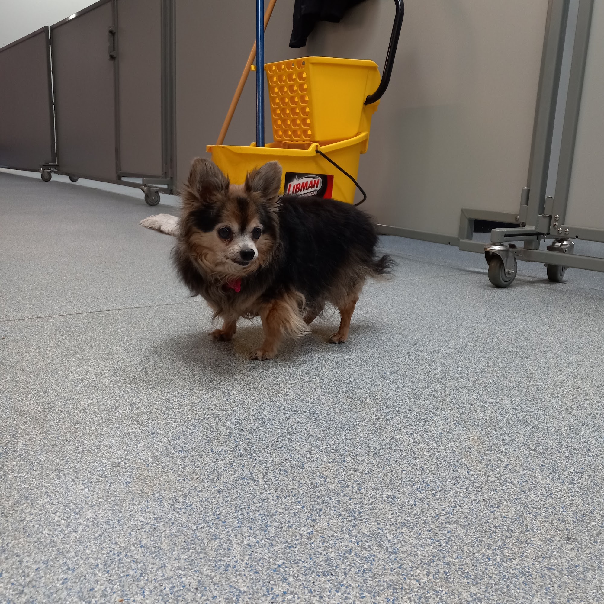 PAWZ Enrichment Center Bismarck