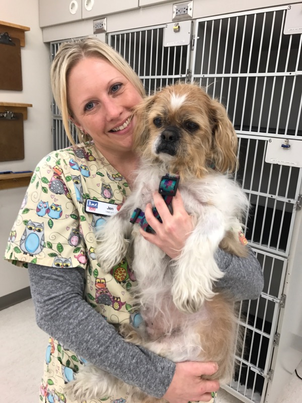 Animal Health Clinic Fargo