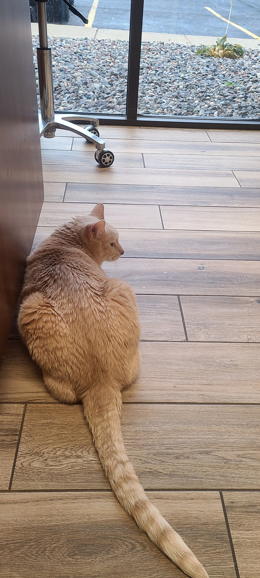 Valley Veterinary Hospital Fargo