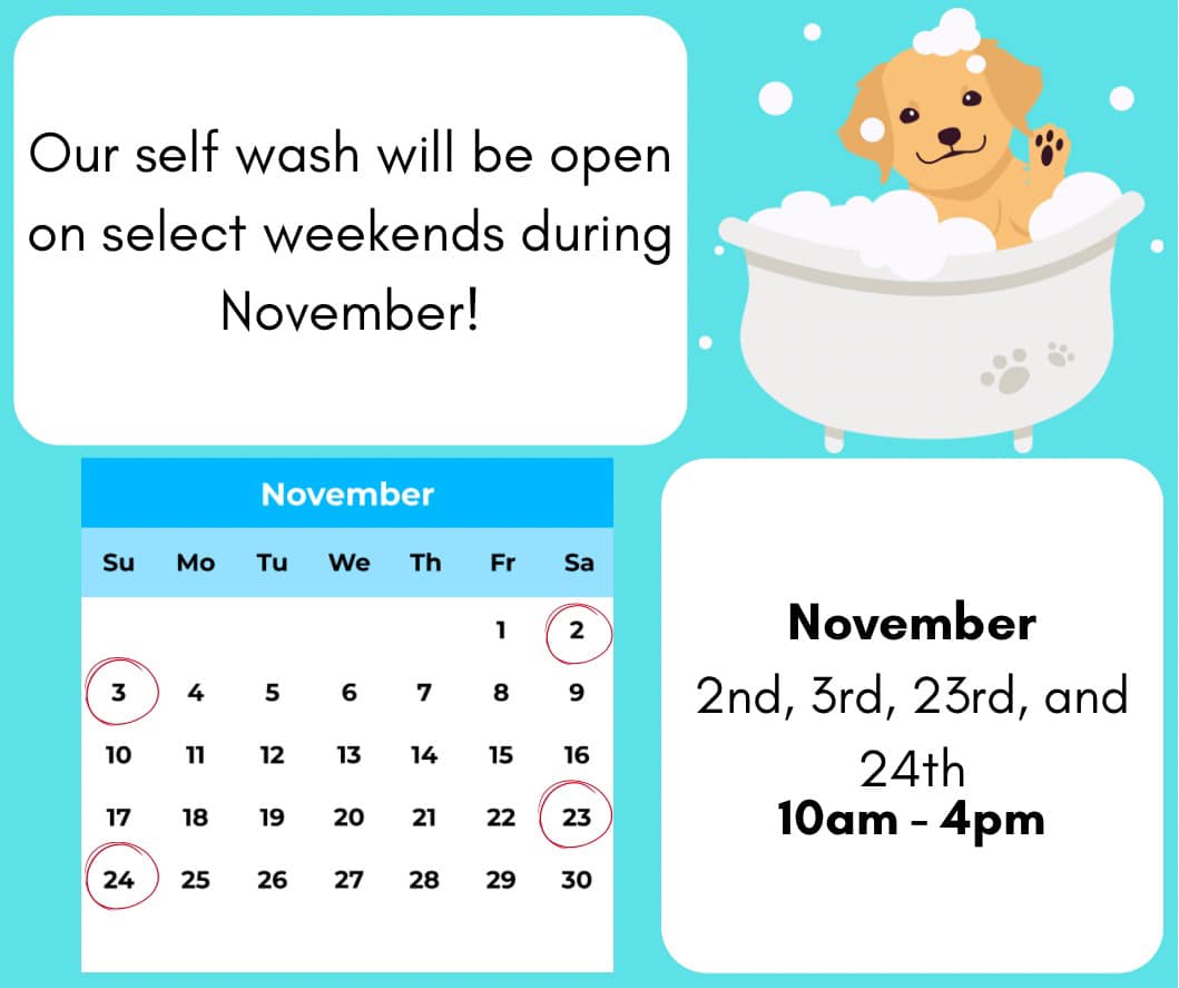 Muddy Paws Pet Spa and Grooming Fargo