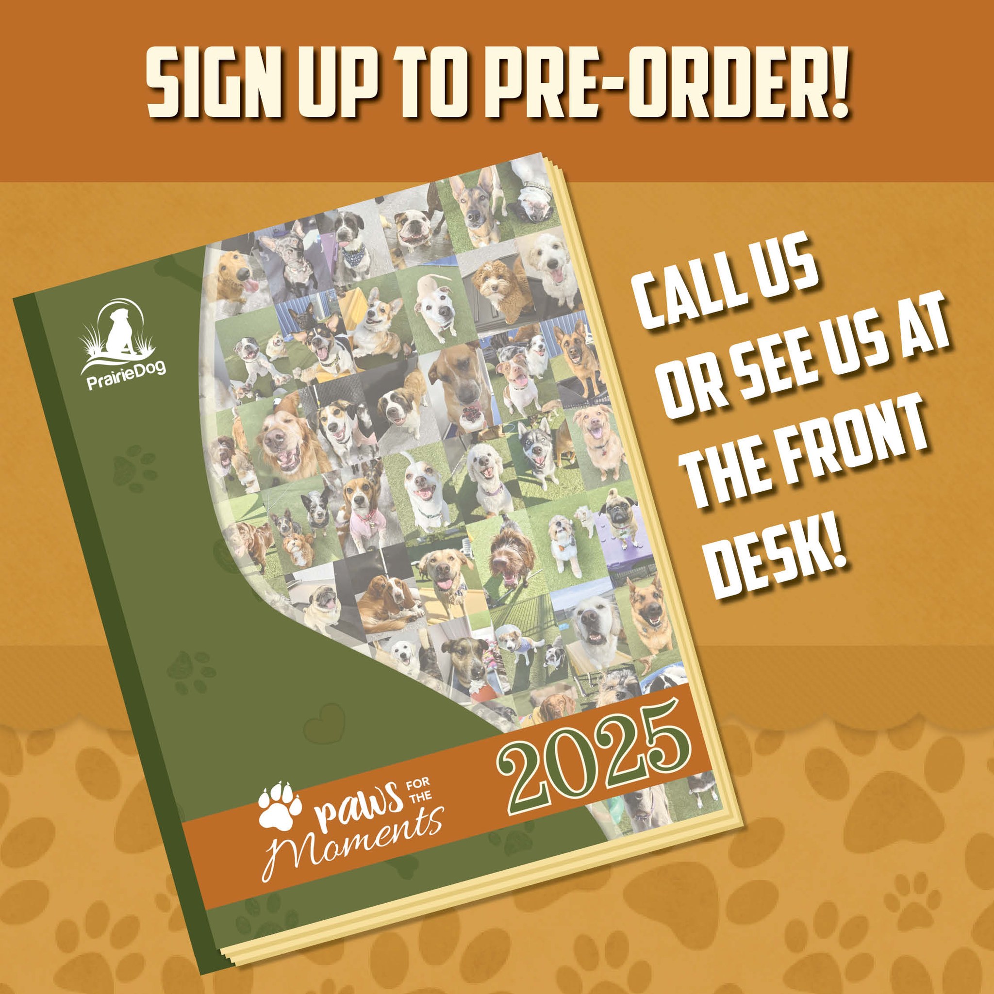 Prairie Dog Daycare, Obedience Training, Grooming and Boarding Fargo