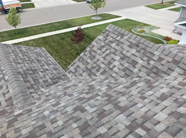 Alpha & Omega Roofing