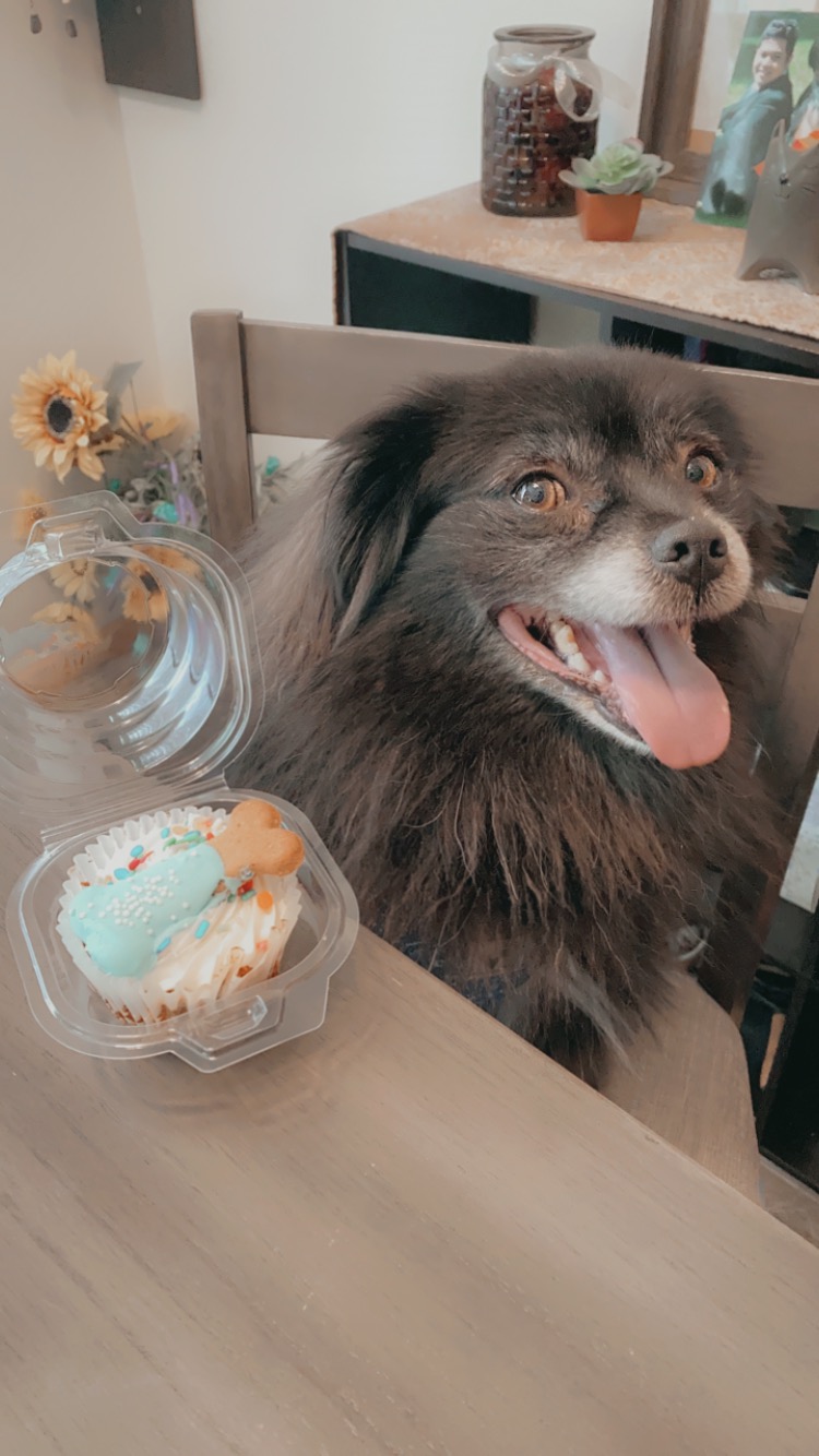 Bark'n Biscuits Fargo