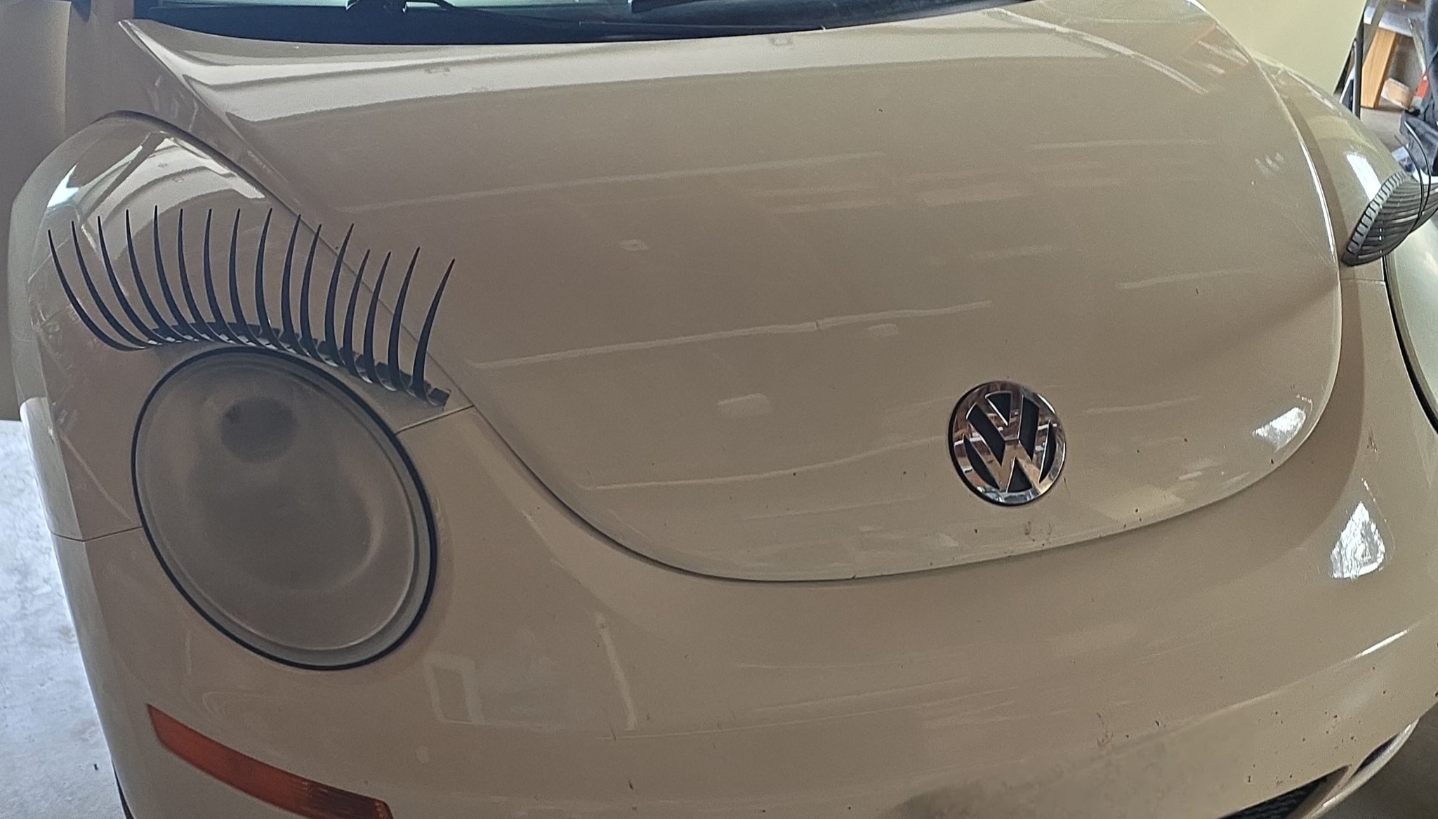Xtreme Auto Detailz