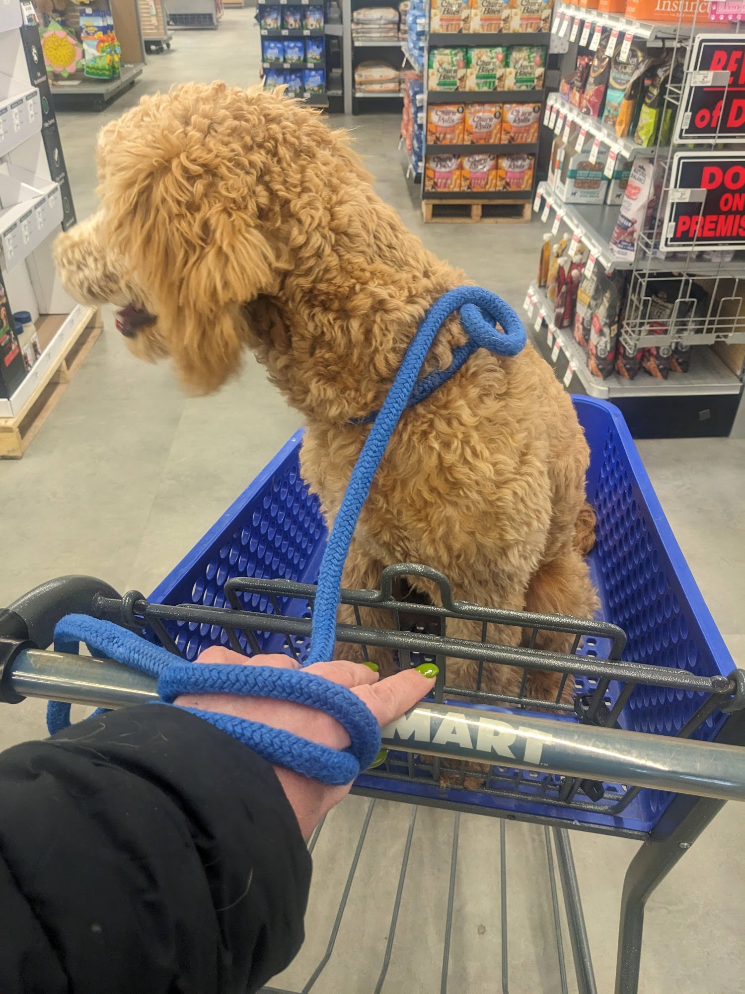 PetSmart Grand Forks