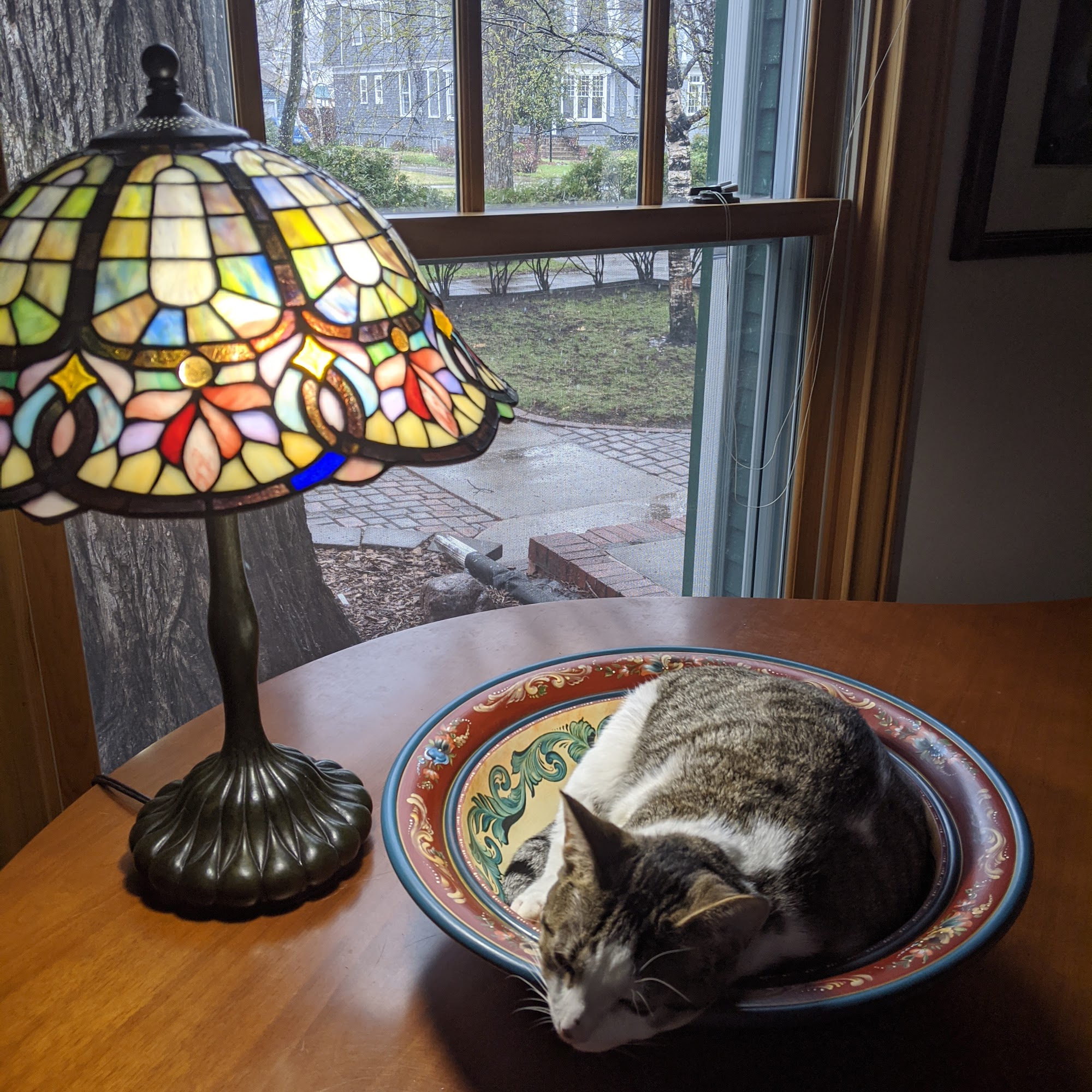 Just 4 Pawz Day Spaw Grand Forks