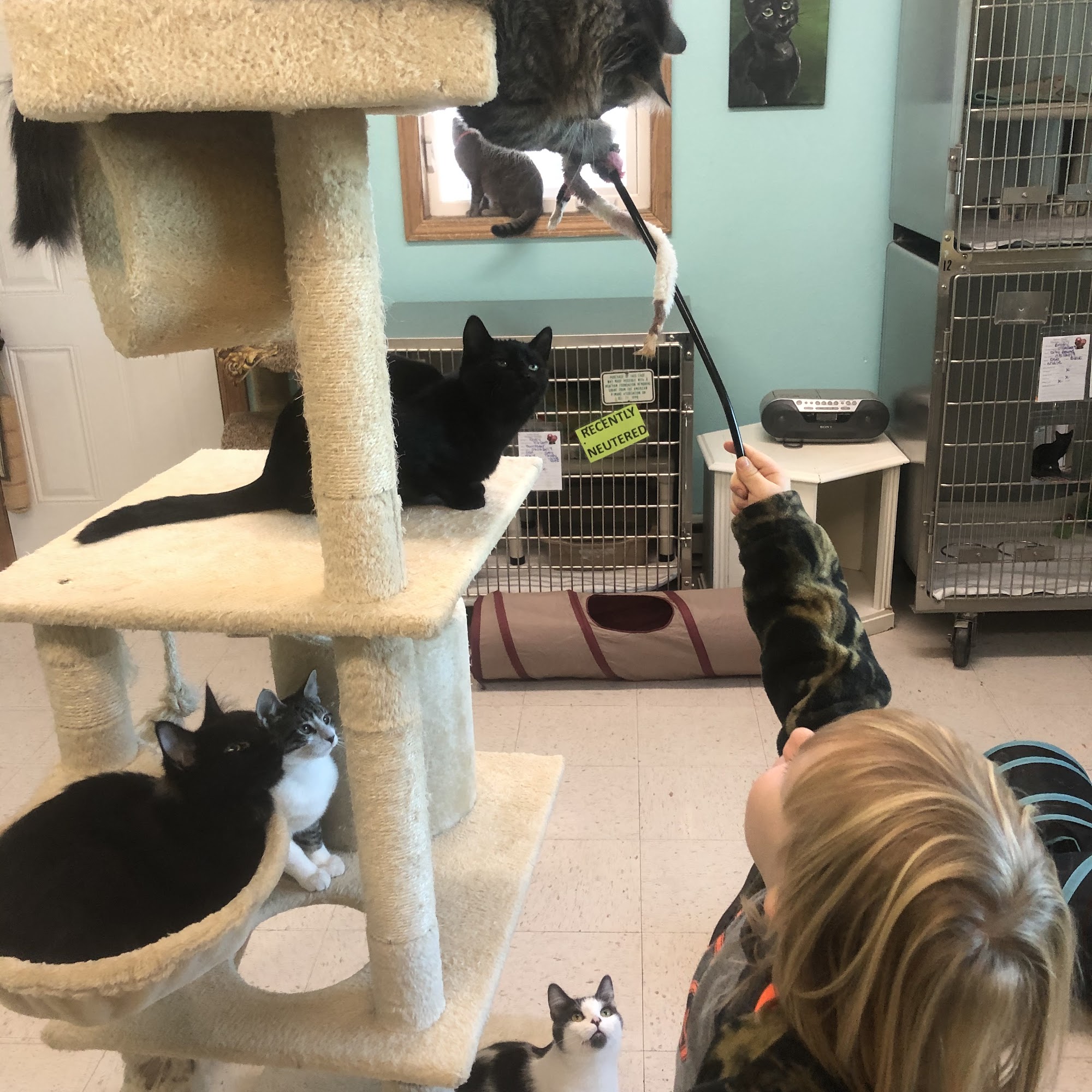 James River Humane Society Jamestown