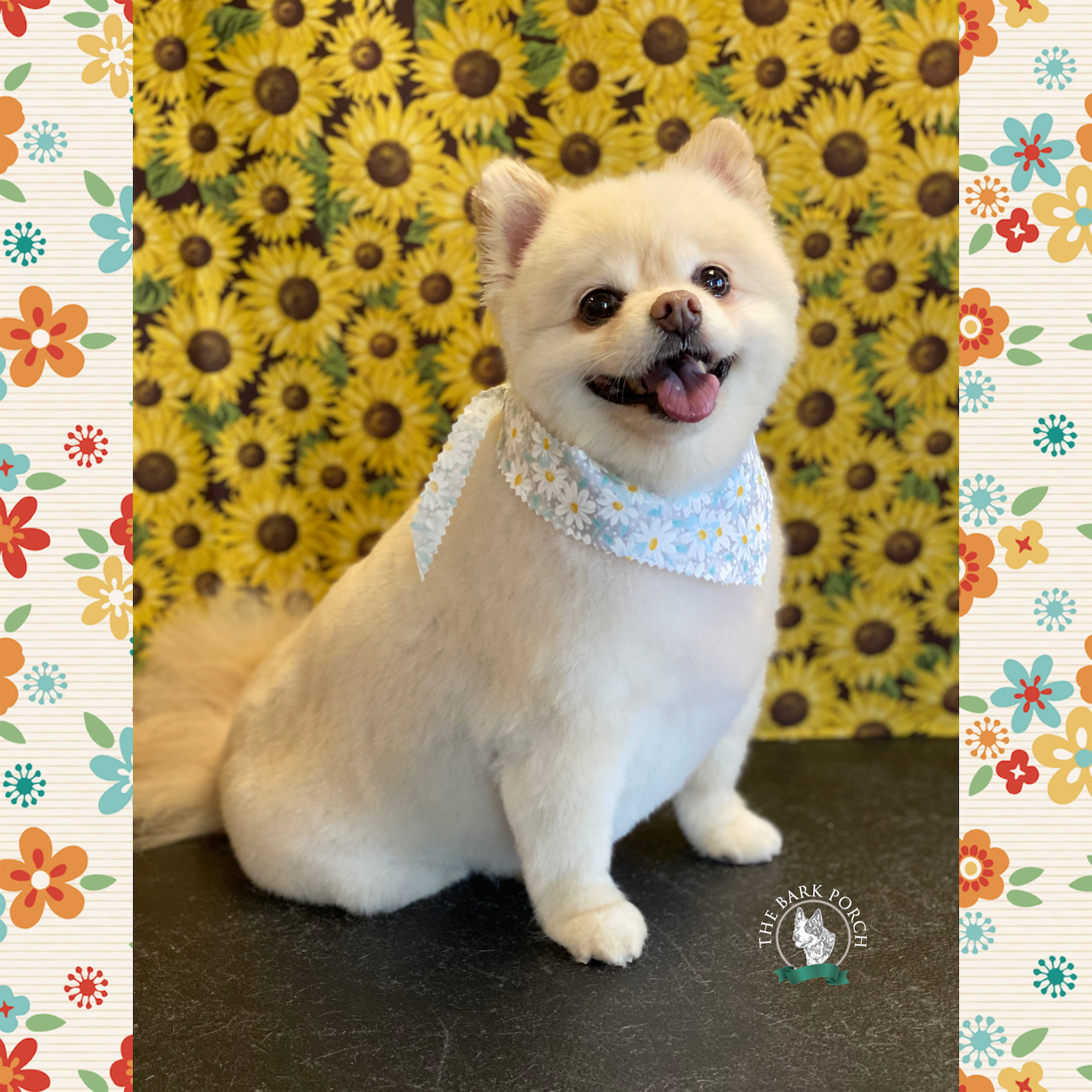 The Bark Porch Minot