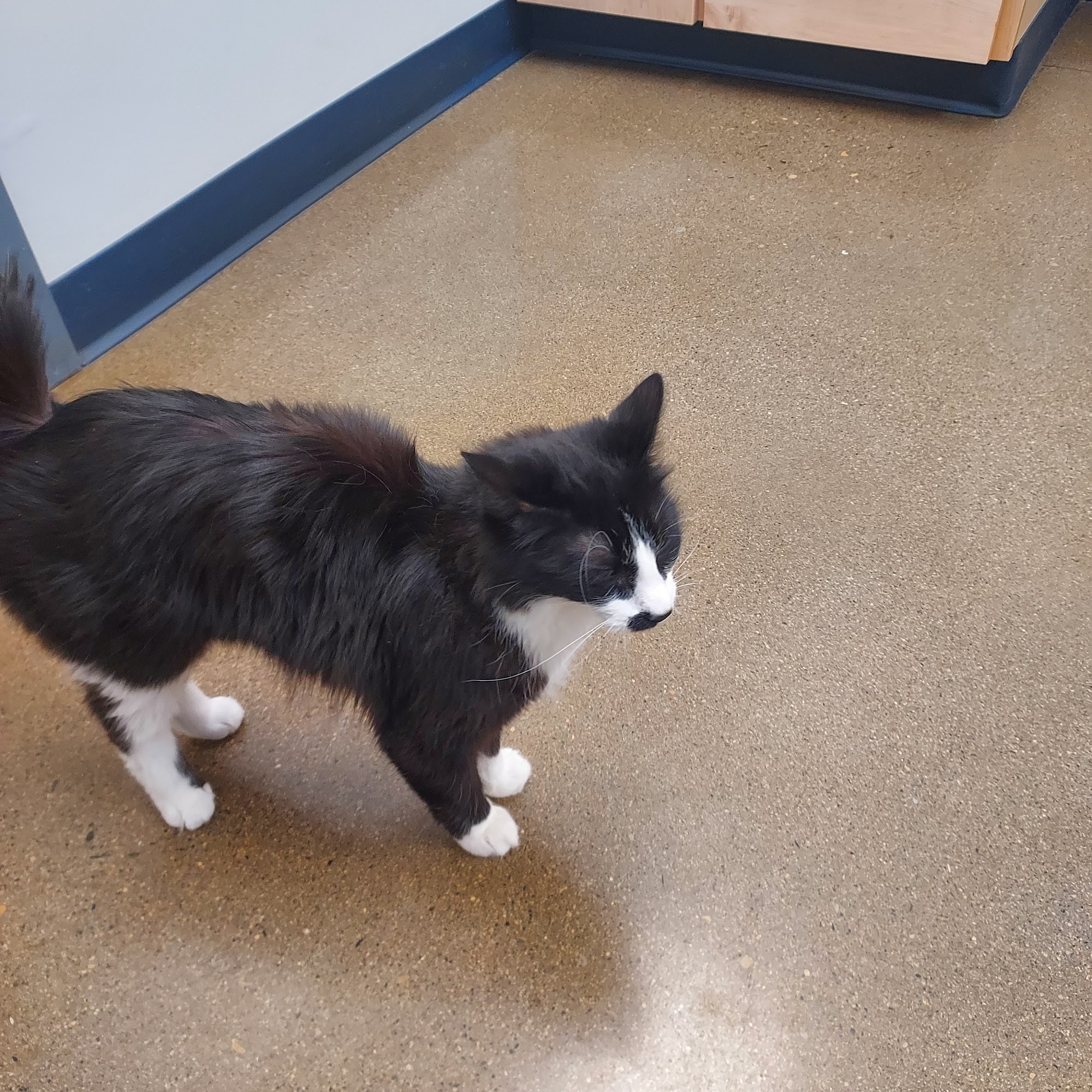 Golden Valley Veterinary Clinic Park River