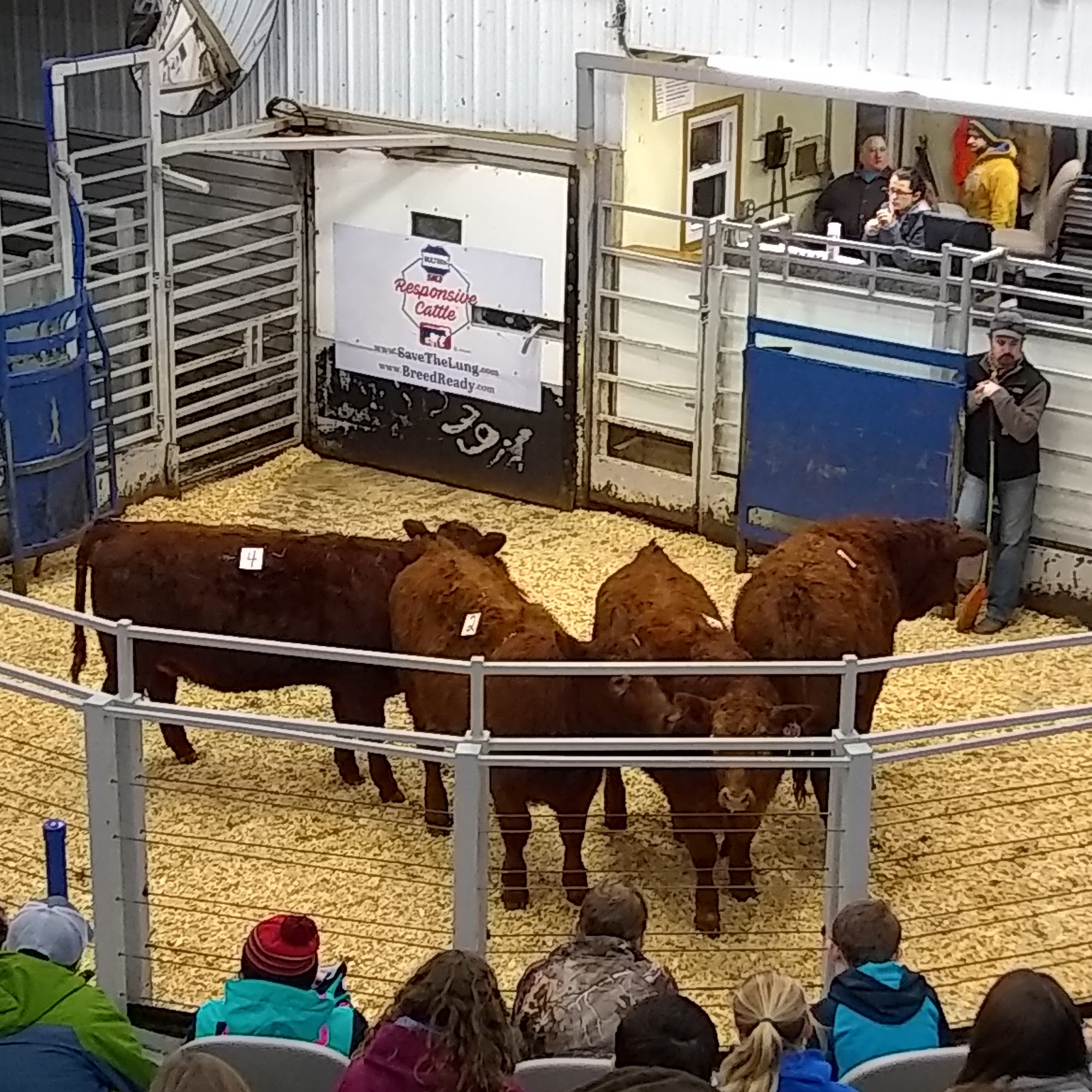 Valley City Veterinary Hospital Valley City