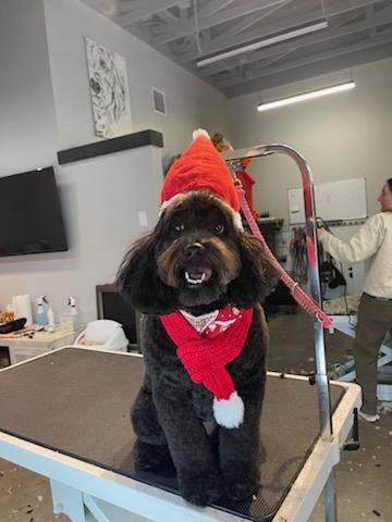 Sit Stay Spa Fargo West Fargo