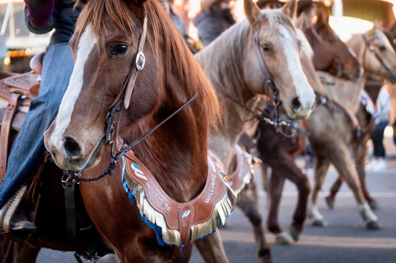 Williams Civil Construction