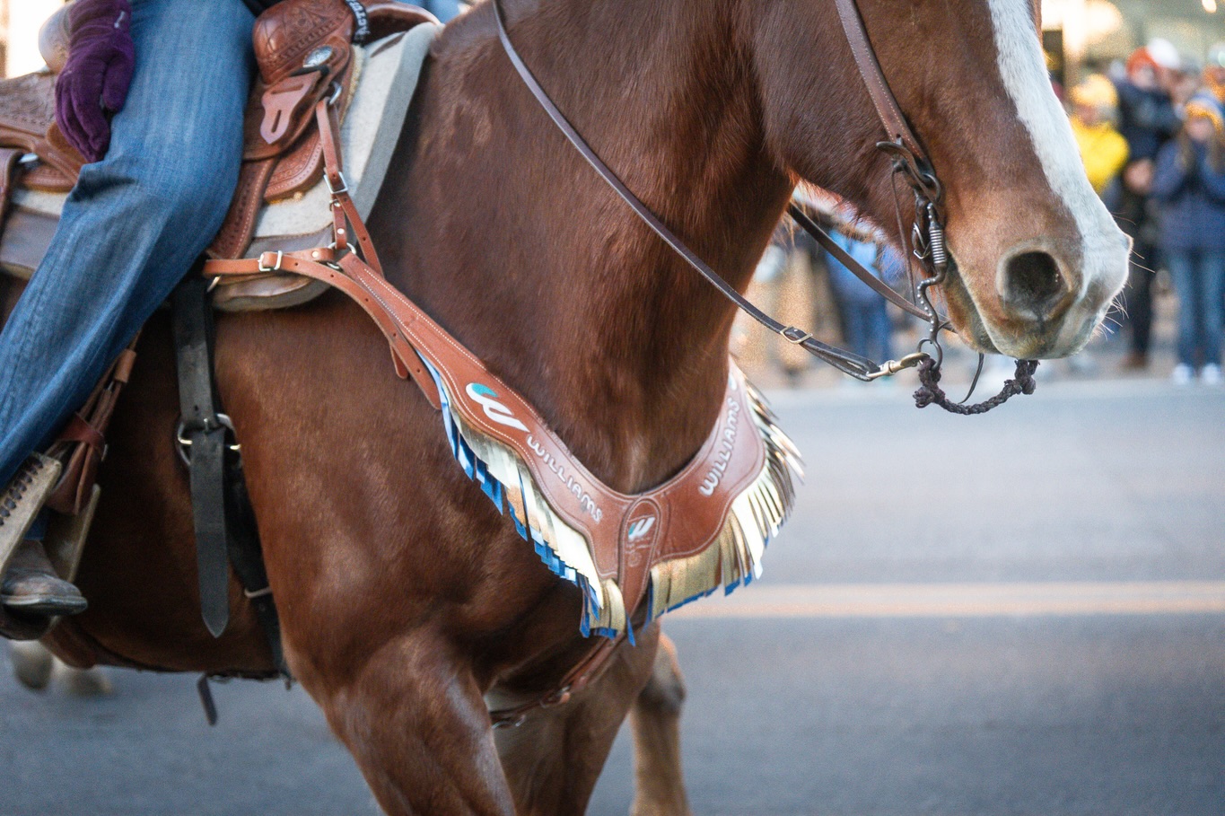 Williams Civil Construction