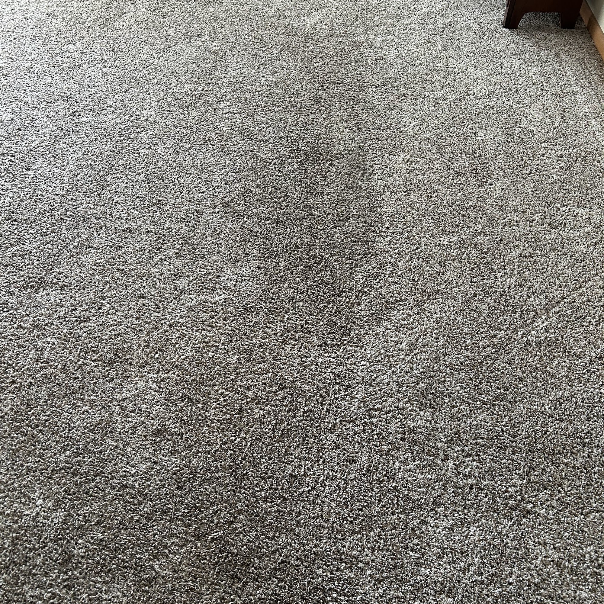 BAKKEN CARPET CLEANING