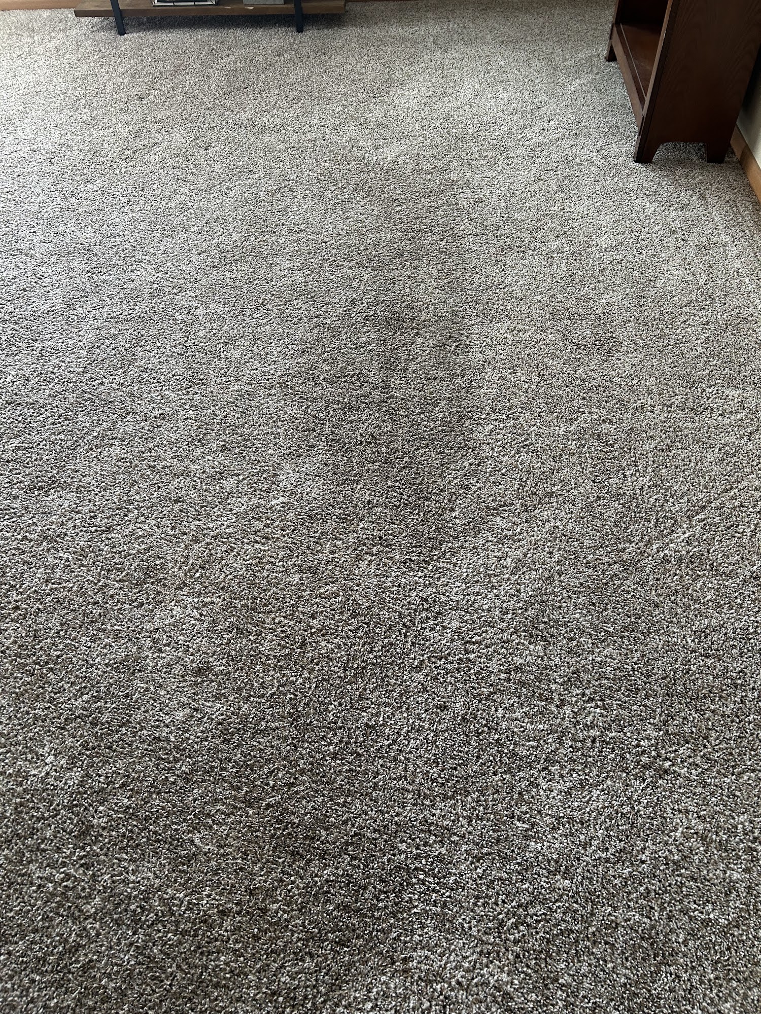 BAKKEN CARPET CLEANING