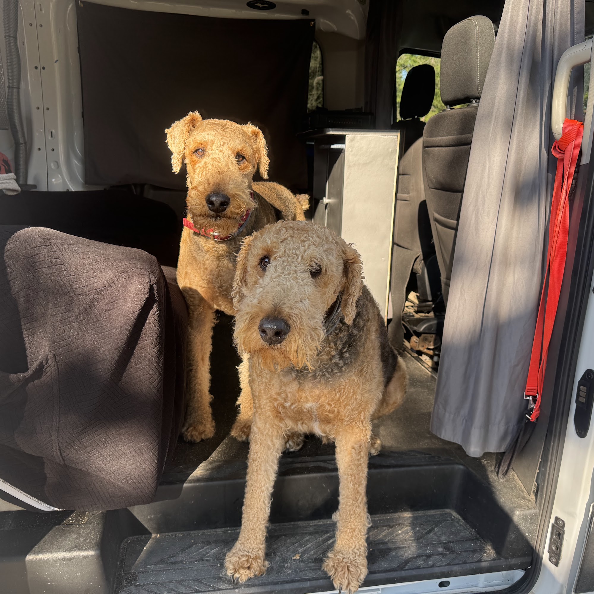 Prairie Dog Kennels, Inc. Adams