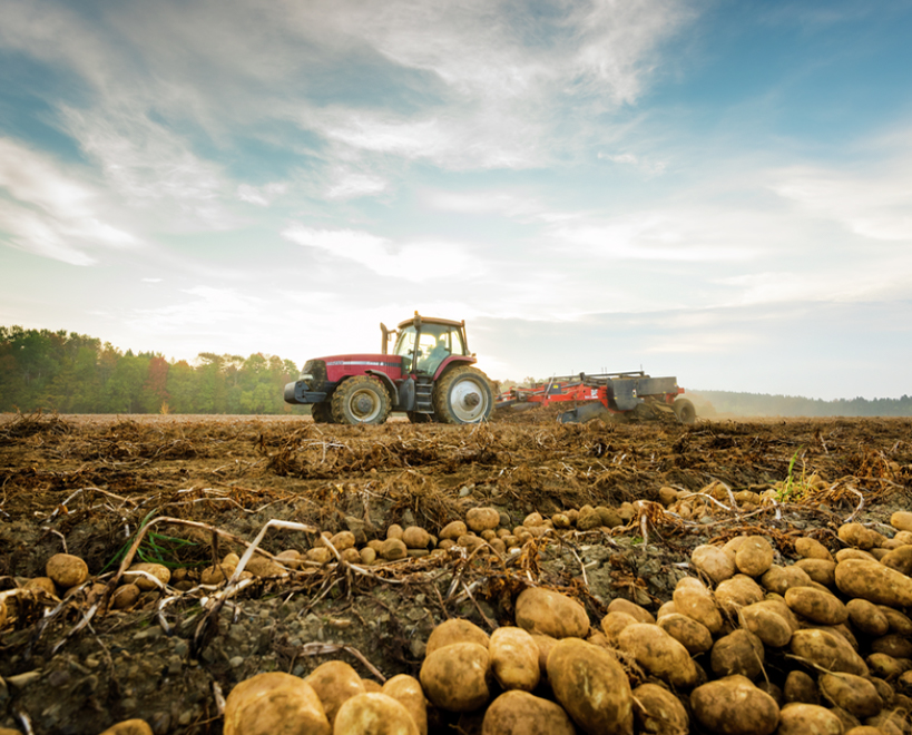 Western Potatoes Inc Alliance