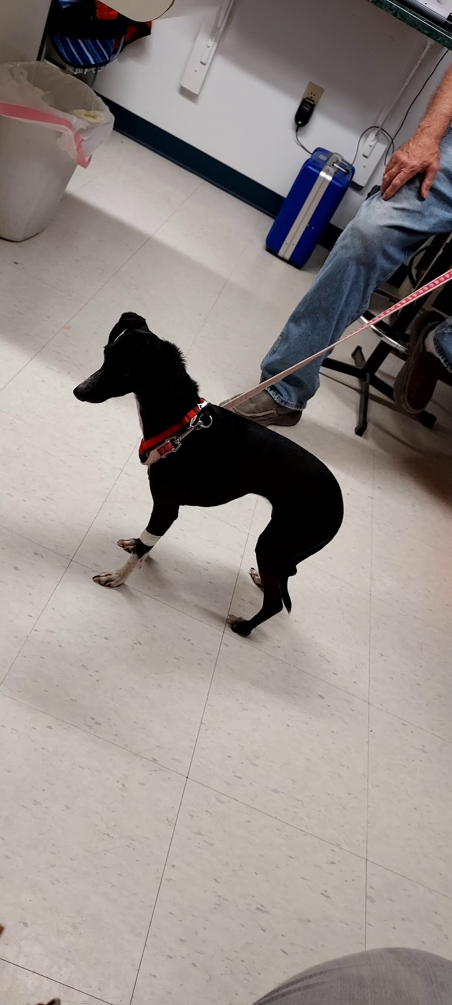 Atkinson Veterinary Clinic