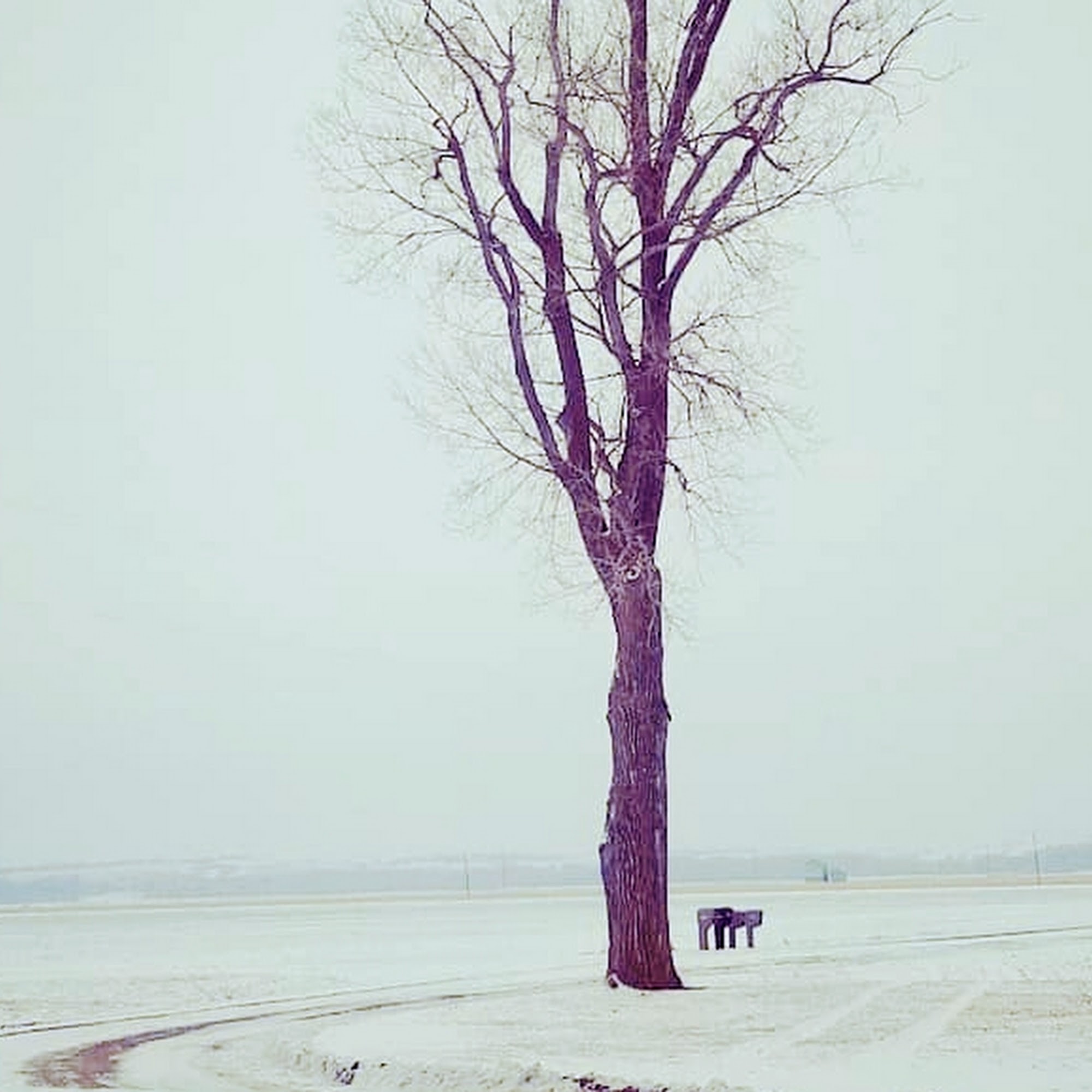 Lois’s Driftwood Inn Blair