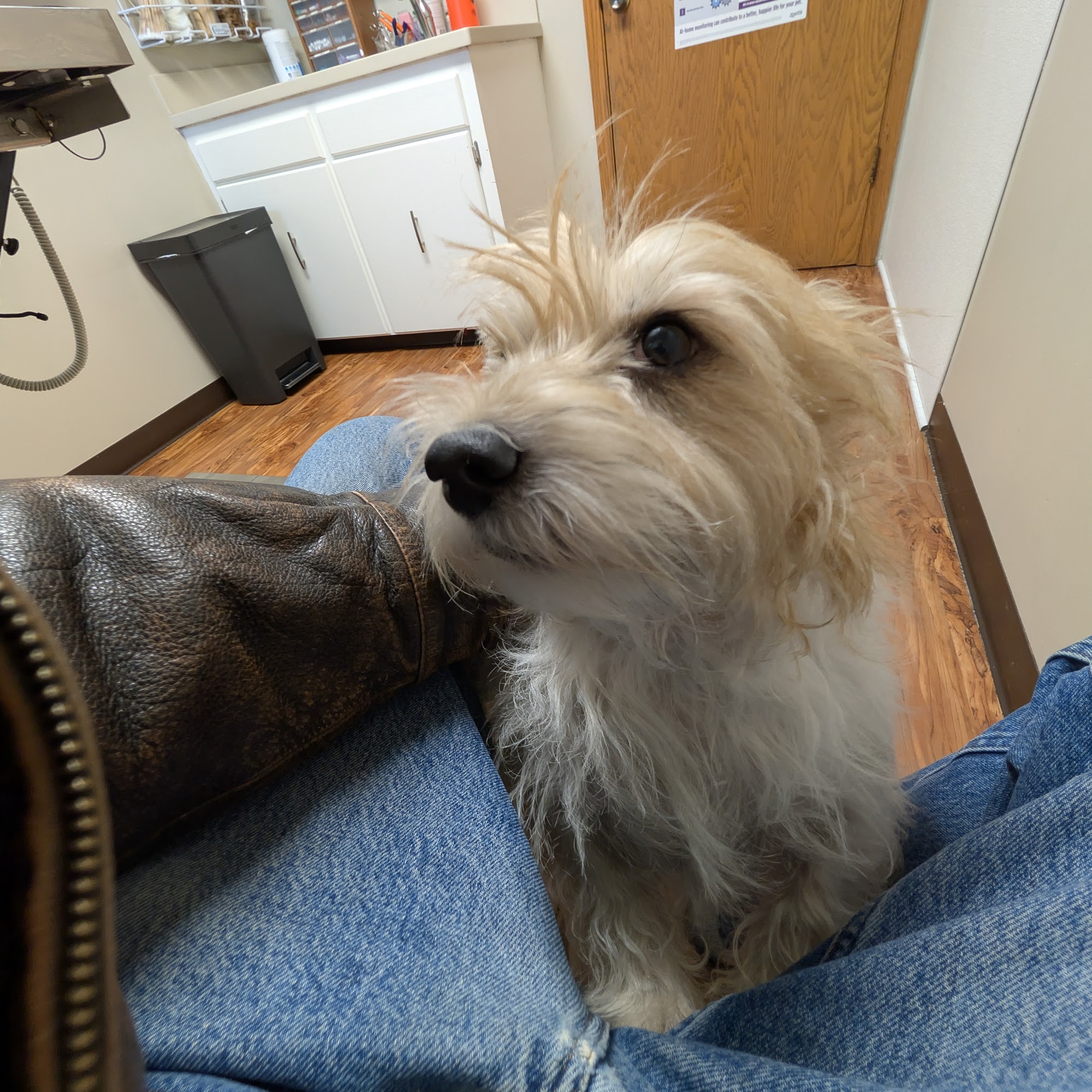 Holstein Veterinary Clinic Blair