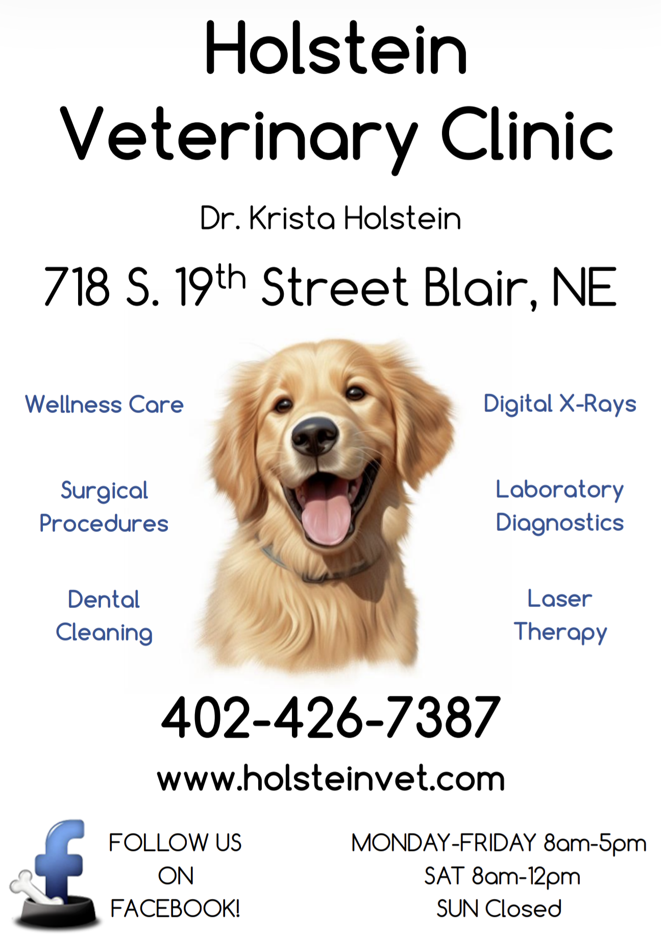 Holstein Veterinary Clinic Blair