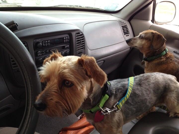 Photo credit: nextdoor