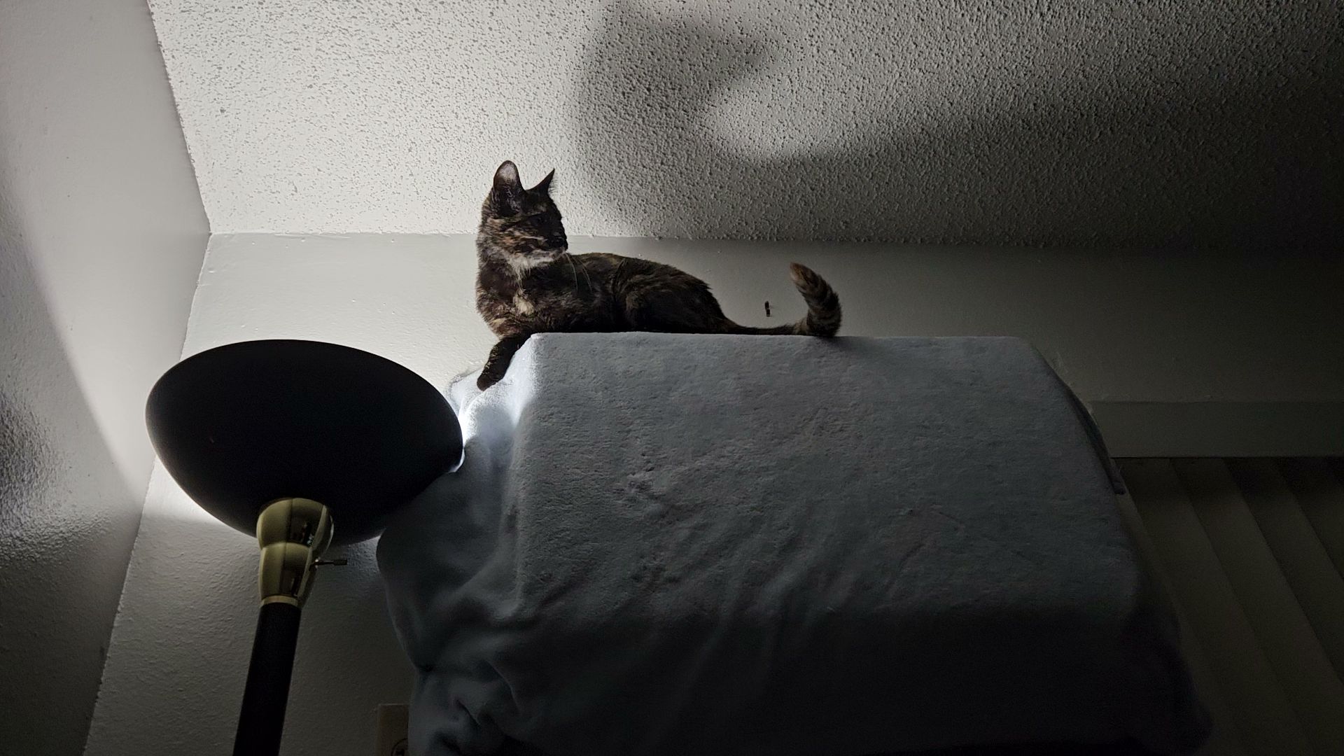 Dr L.E. Steadman Veterinary Clinic Chadron