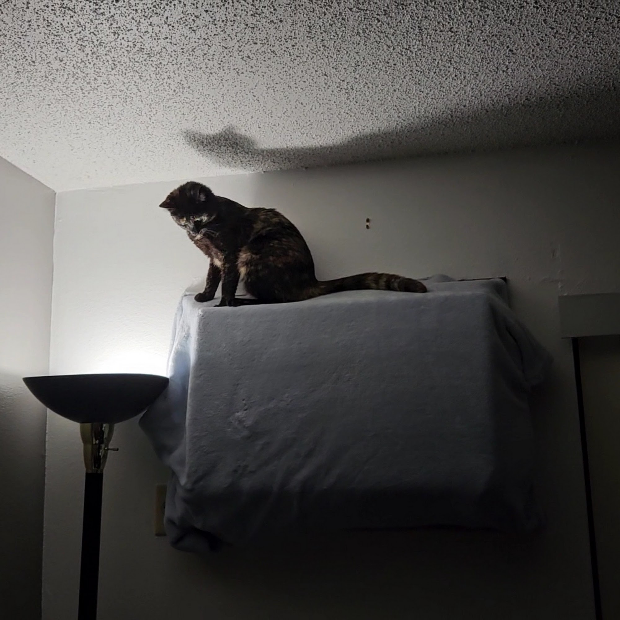 Dr L.E. Steadman Veterinary Clinic Chadron