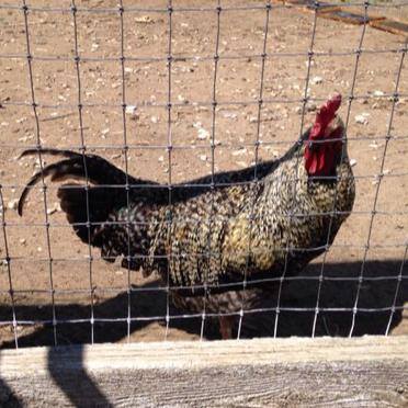 Harmony Food & Produce Chadron