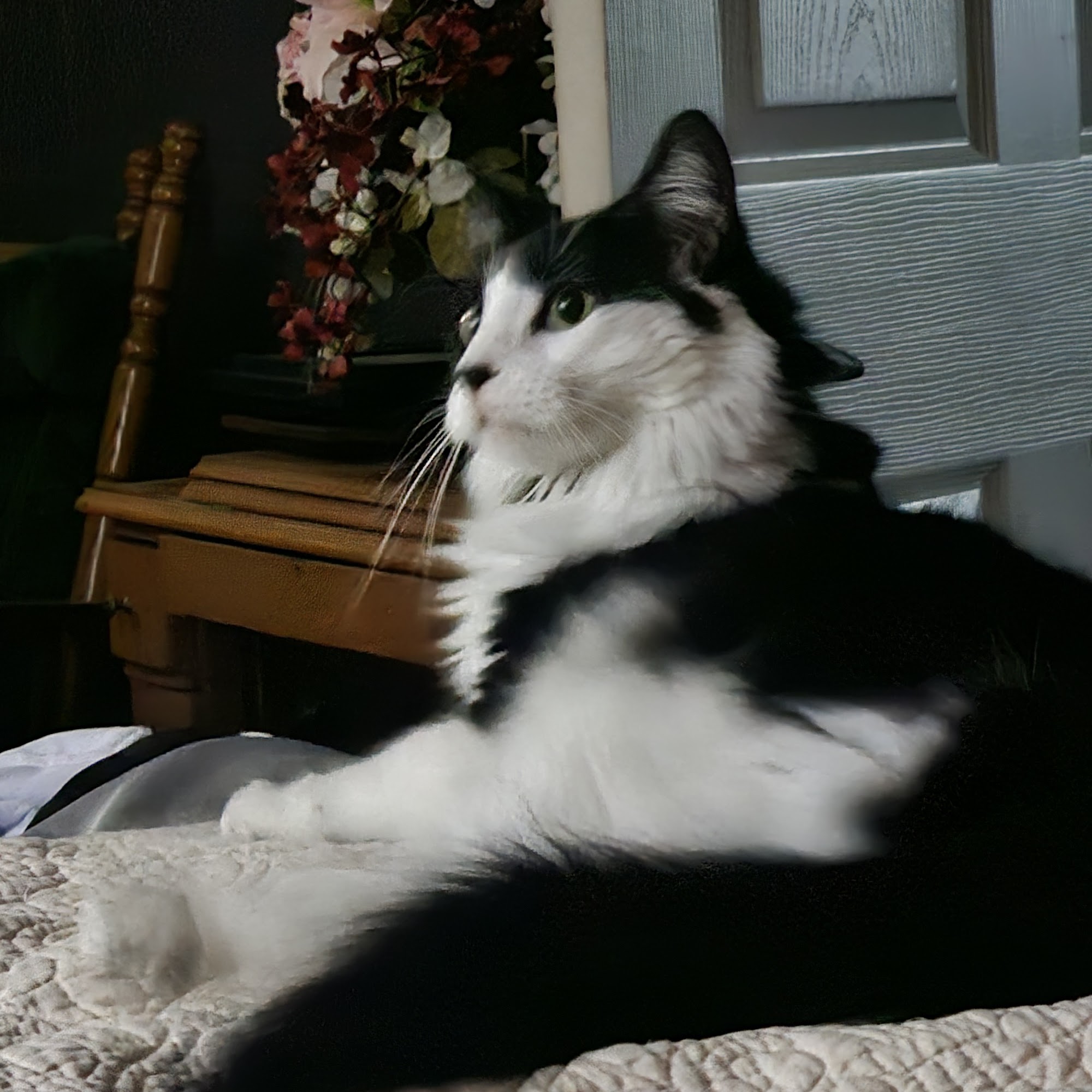 Clay Center Critter Care Clay Center