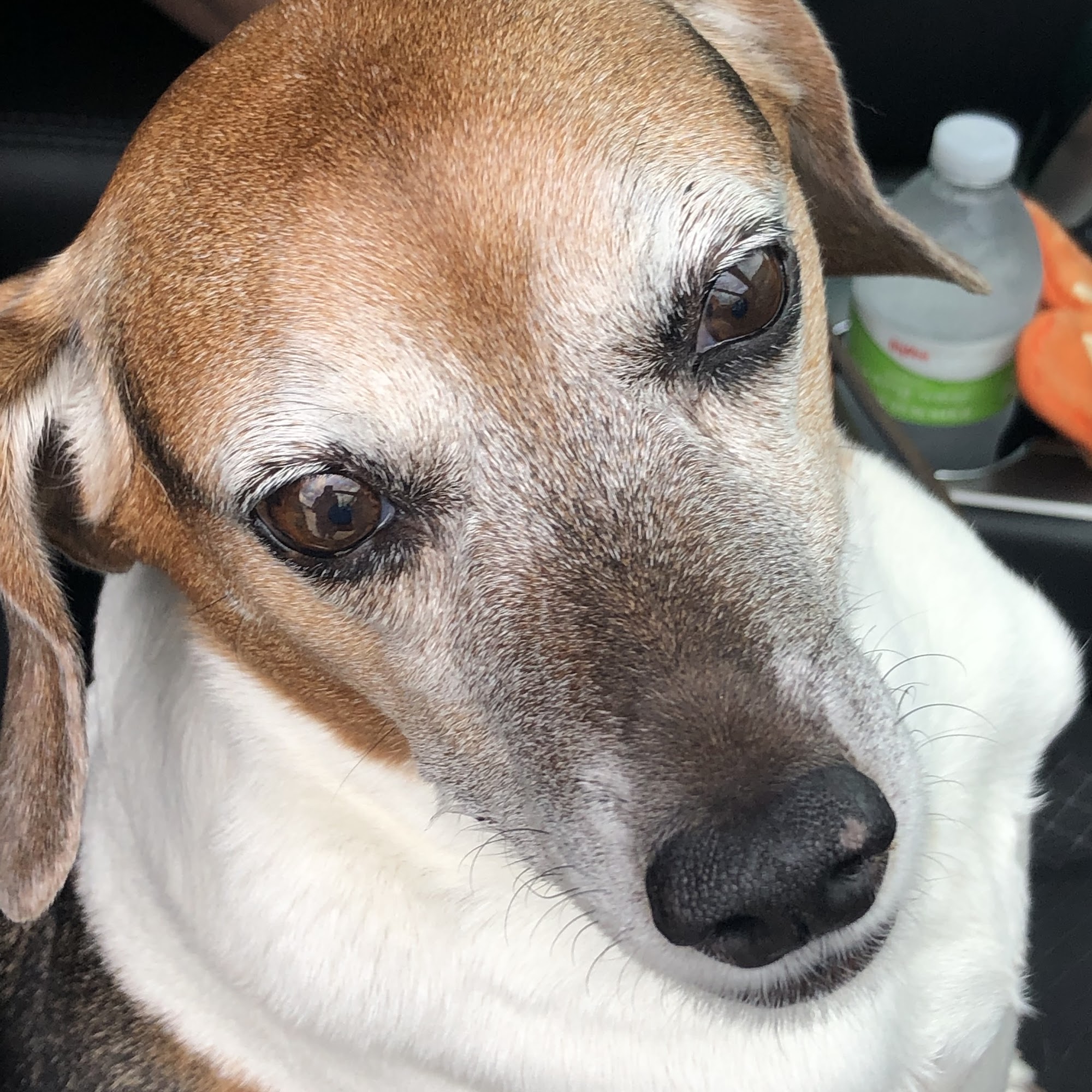 Twin Rivers Veterinary Clinic Columbus