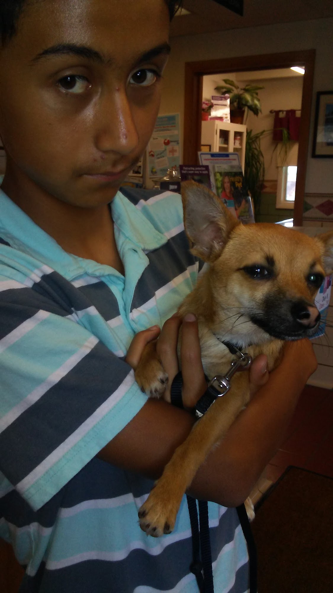 Cozad Veterinary Clinic Cozad